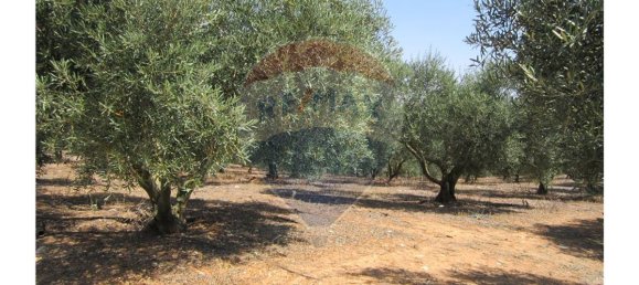 23360m² Land in Santarem, Portugal No. 82836 22