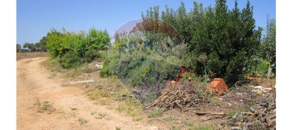 23360m² Land in Santarem, Portugal No. 82836 17