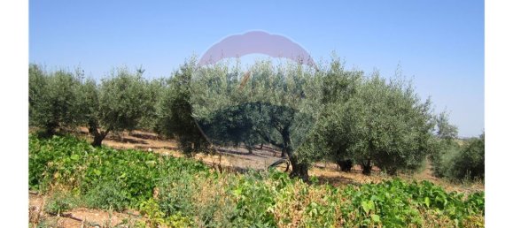 23360m² Land in Santarem, Portugal No. 82836 14