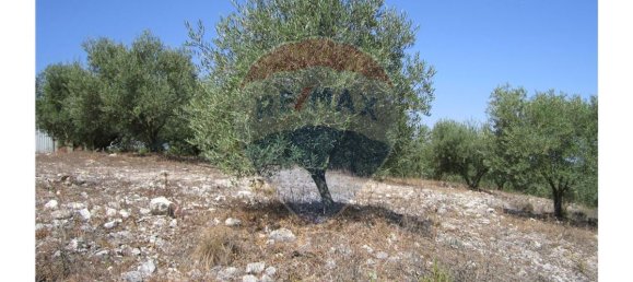 23360m² Land in Santarem, Portugal No. 82836 4