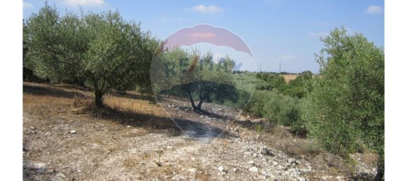 23360m² Land in Santarem, Portugal No. 82836 40