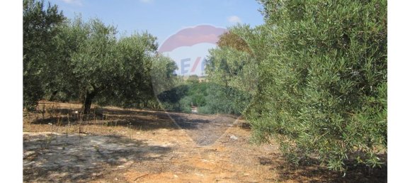 23360m² Land in Santarem, Portugal No. 82836 38
