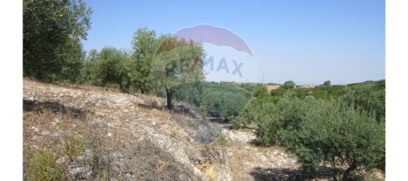 23360m² Land in Santarem, Portugal No. 82836 3