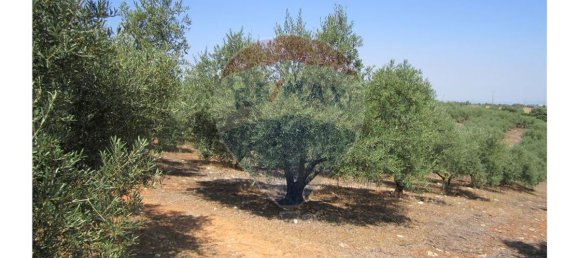 23360m² Land in Santarem, Portugal No. 82836 11