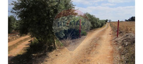 23360m² Land in Santarem, Portugal No. 82836 24