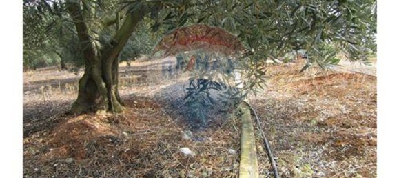 23360m² Land in Santarem, Portugal No. 82836 33