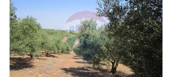 23360m² Land in Santarem, Portugal No. 82836 12