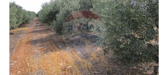 23360m² Land in Santarem, Portugal No. 82836 32