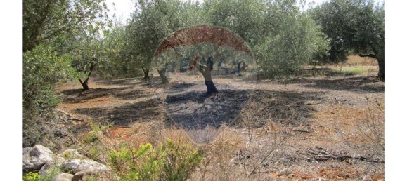 23360m² Land in Santarem, Portugal No. 82836 25