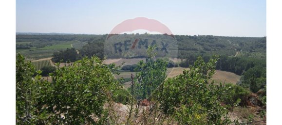 23360m² Land in Santarem, Portugal No. 82836 5