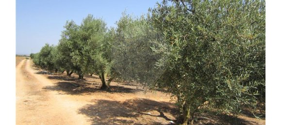 23360m² Land in Santarem, Portugal No. 82836 21