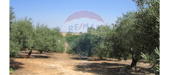 23360m² Land in Santarem, Portugal No. 82836 6