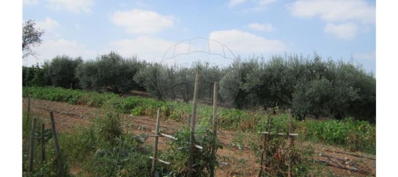 23360m² Land in Santarem, Portugal No. 82836 36