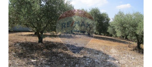 23360m² Land in Santarem, Portugal No. 82836 41