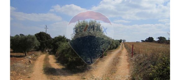 23360m² Land in Santarem, Portugal No. 82836 23