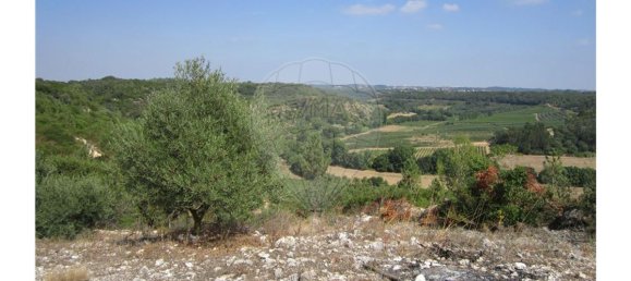 23360m² Land in Santarem, Portugal No. 82836 39