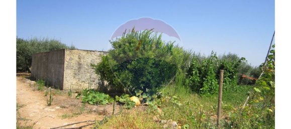 23360m² Land in Santarem, Portugal No. 82836 19
