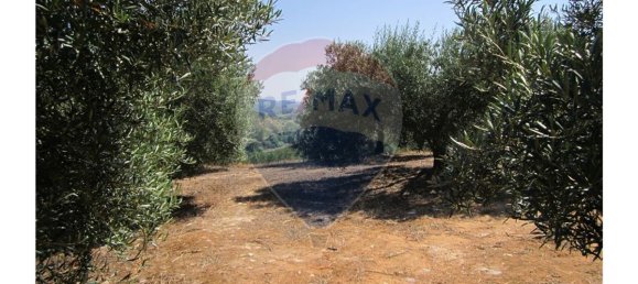 23360m² Land in Santarem, Portugal No. 82836 13