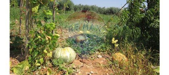 23360m² Land in Santarem, Portugal No. 82836 18