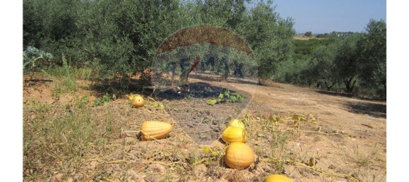 23360m² Land in Santarem, Portugal No. 82836 7