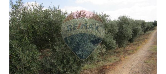 23360m² Land in Santarem, Portugal No. 82836 28