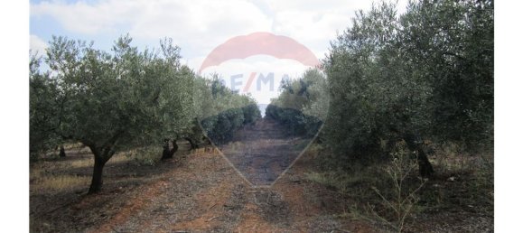 23360m² Land in Santarem, Portugal No. 82836 30