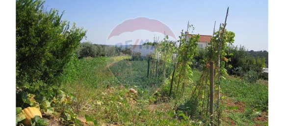 23360m² Land in Santarem, Portugal No. 82836 20
