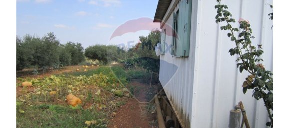 23360m² Land in Santarem, Portugal No. 82836 9