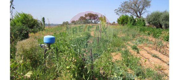 23360m² Land in Santarem, Portugal No. 82836 15