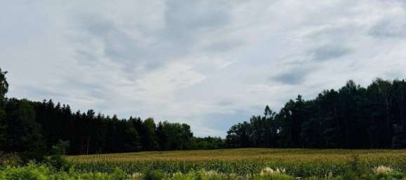 Земельный участок 24885м² в Затледт, Австрия № 249720 3