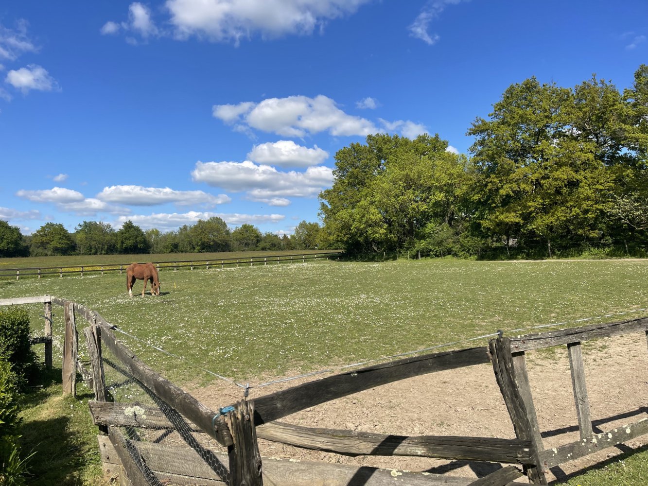 6 Schlafzimmer Schlösser in Indre-et-Loire, France, Nr. 63035