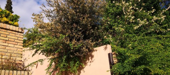 5غرفة منزل في Francavilla al Mare, Italy رقم 211167 3