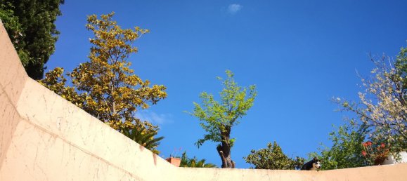 5غرفة منزل في Francavilla al Mare, Italy رقم 211167 16