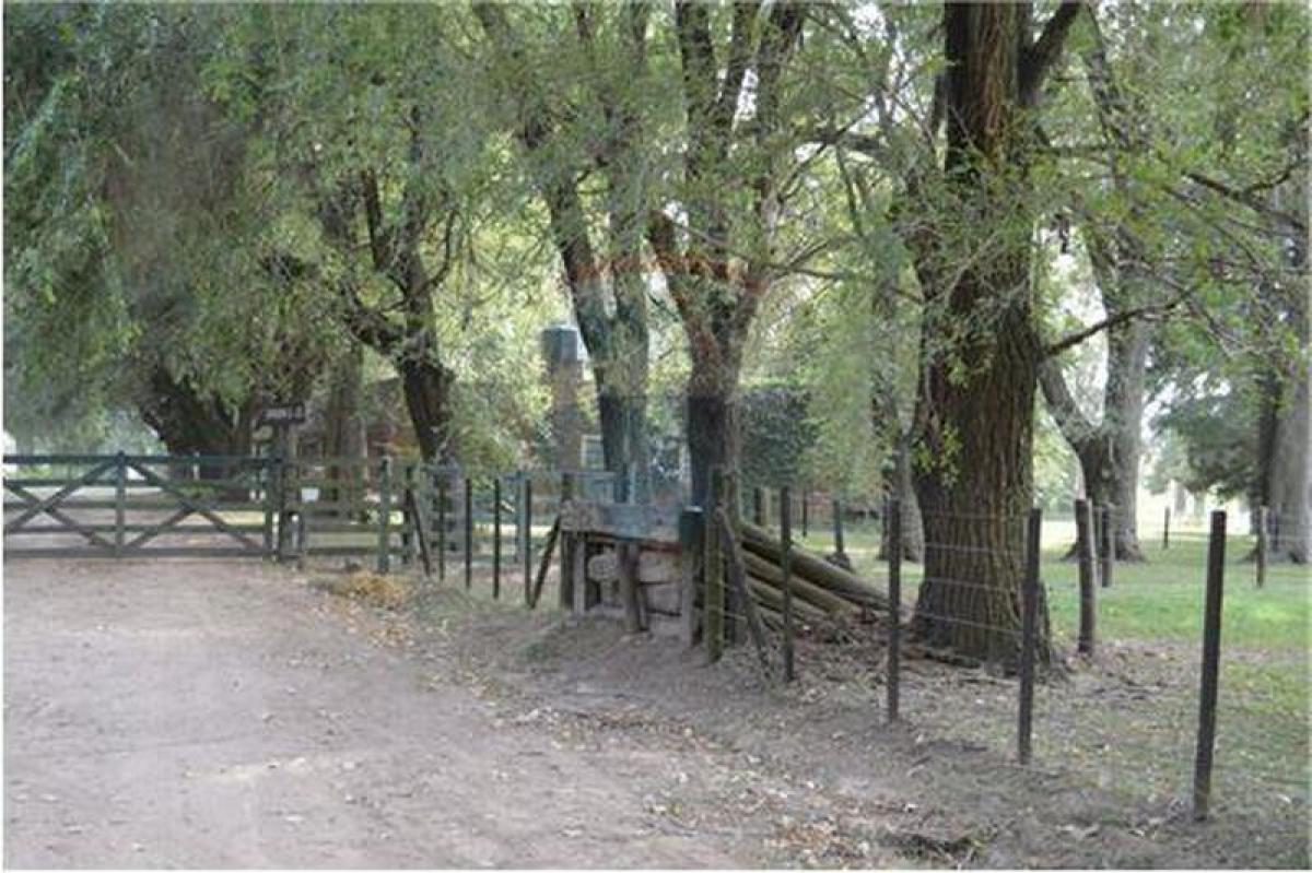 Land in Pilar, Argentina No. 33358