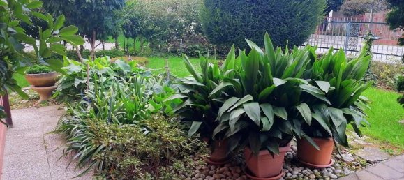 4-salle Maison à Vigodarzere, Italy No. 40298 27