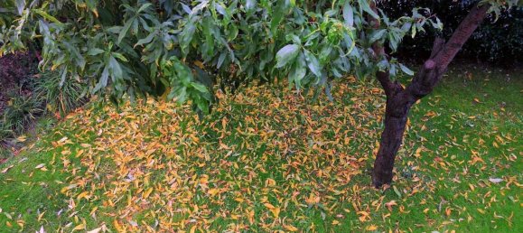 4-salle Maison à Vigodarzere, Italy No. 40298 25