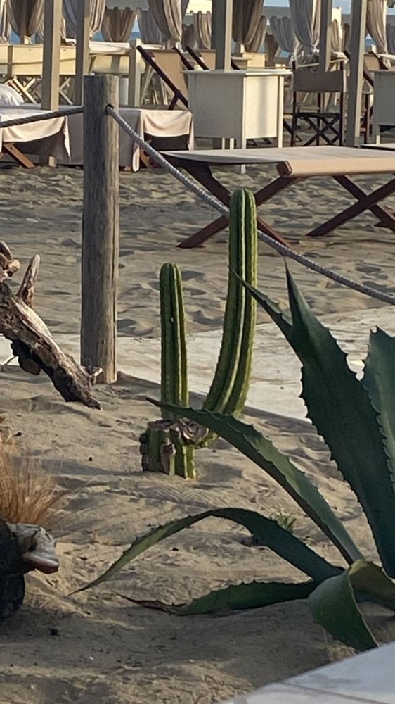 6 rooms House in Massarosa, Italy No. 288608