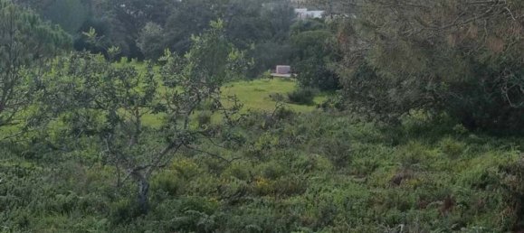 62m² Land in Porches, Portugal No. 136320 7