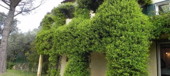 11-salle Maison à Massarosa, Italy No. 63986 11