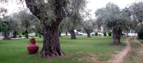 Property in Thasos, Greece 300m², Nr. 7839 5