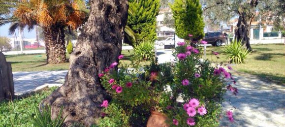 Property in Thasos, Greece 300m², Nr. 7839 23