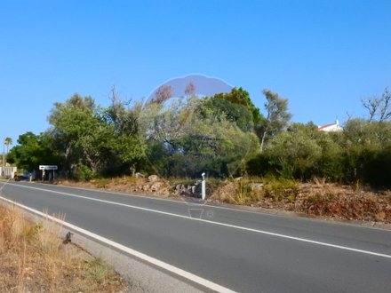 24480m² Land in Sao Bartolomeu de Messines, Portugal No. 38133