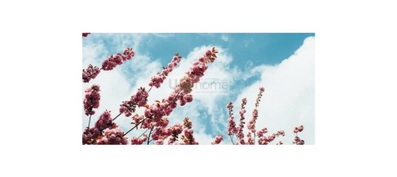 Grundstück in Grandola, Portugal 412m², Nr. 145242 9