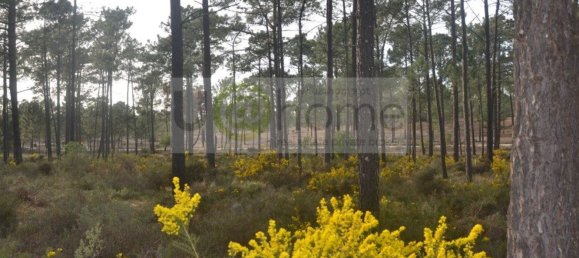 Grundstück in Grandola, Portugal 412m², Nr. 145242 8