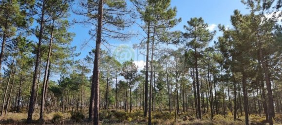 Grundstück in Grandola, Portugal 412m², Nr. 145242 6