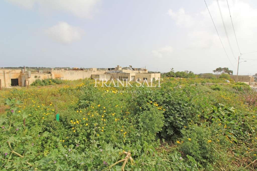 Grundstück in Rabat, Malta 906m², Nr. 13513