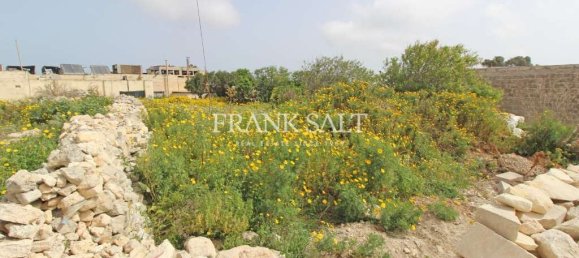 Grundstück in Rabat, Malta 906m², Nr. 13513 2