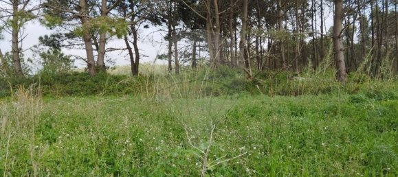 2 chambres Maison à Atouguia da Baleia, Portugal No. 29906 3