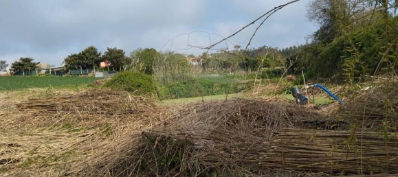 2 chambres Maison à Atouguia da Baleia, Portugal No. 29906 7
