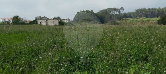 2 chambres Maison à Atouguia da Baleia, Portugal No. 29906 9
